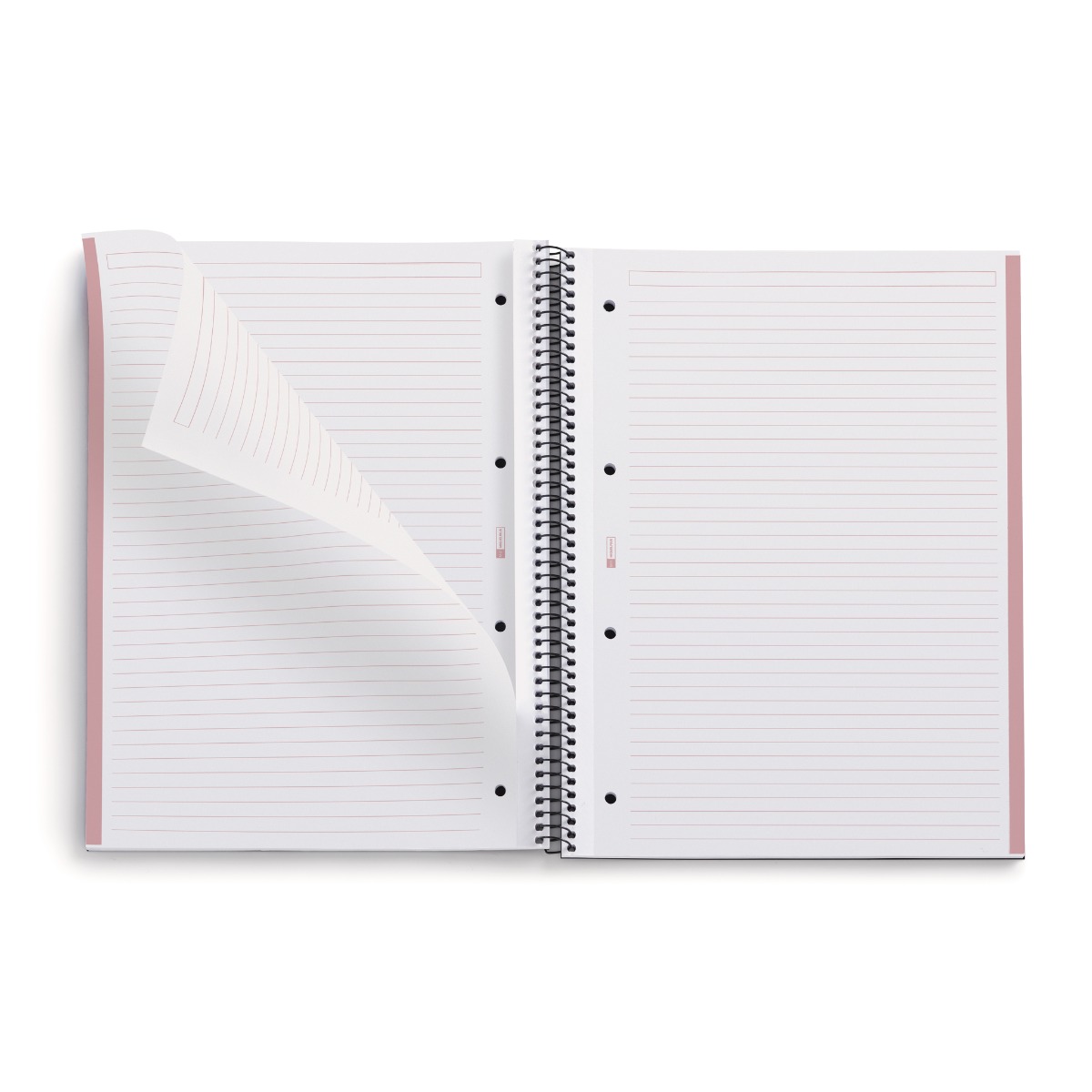 Kaustik A4 80l joon spiraal 4-ne augustus ecopinkemotions, Miquelrius 