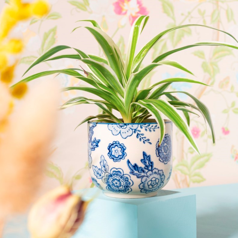 BLUE WILLOW LILLEPOTT, MINI