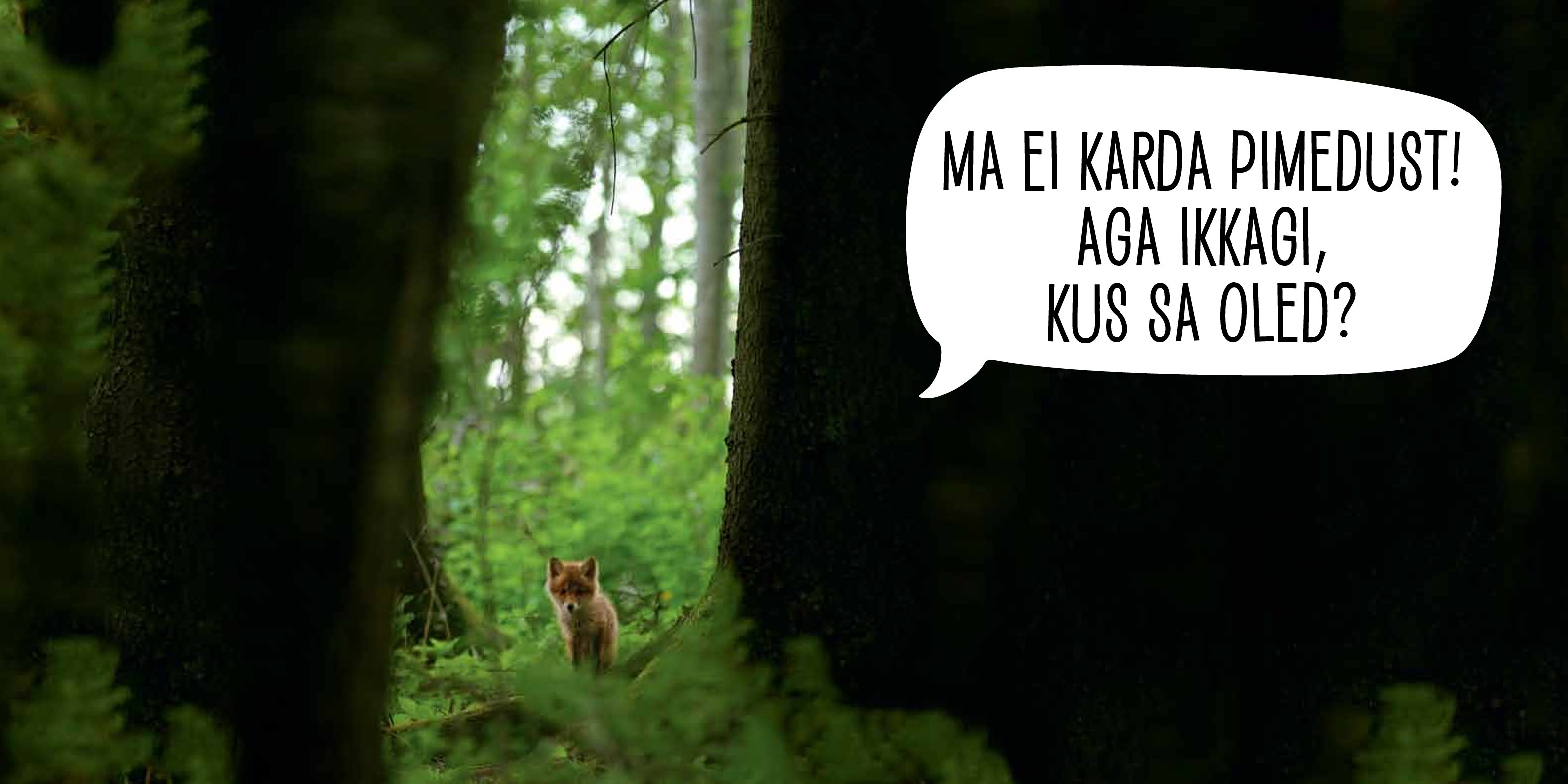 Paharet ja unistaja
