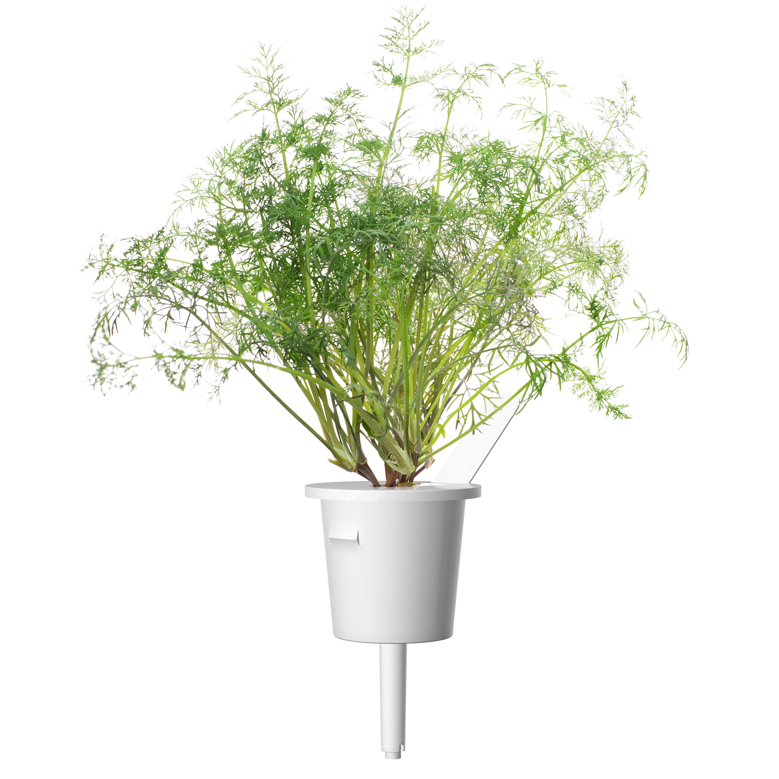 CLICK & GROW: 3 TAIMEKASSETTI, TILL