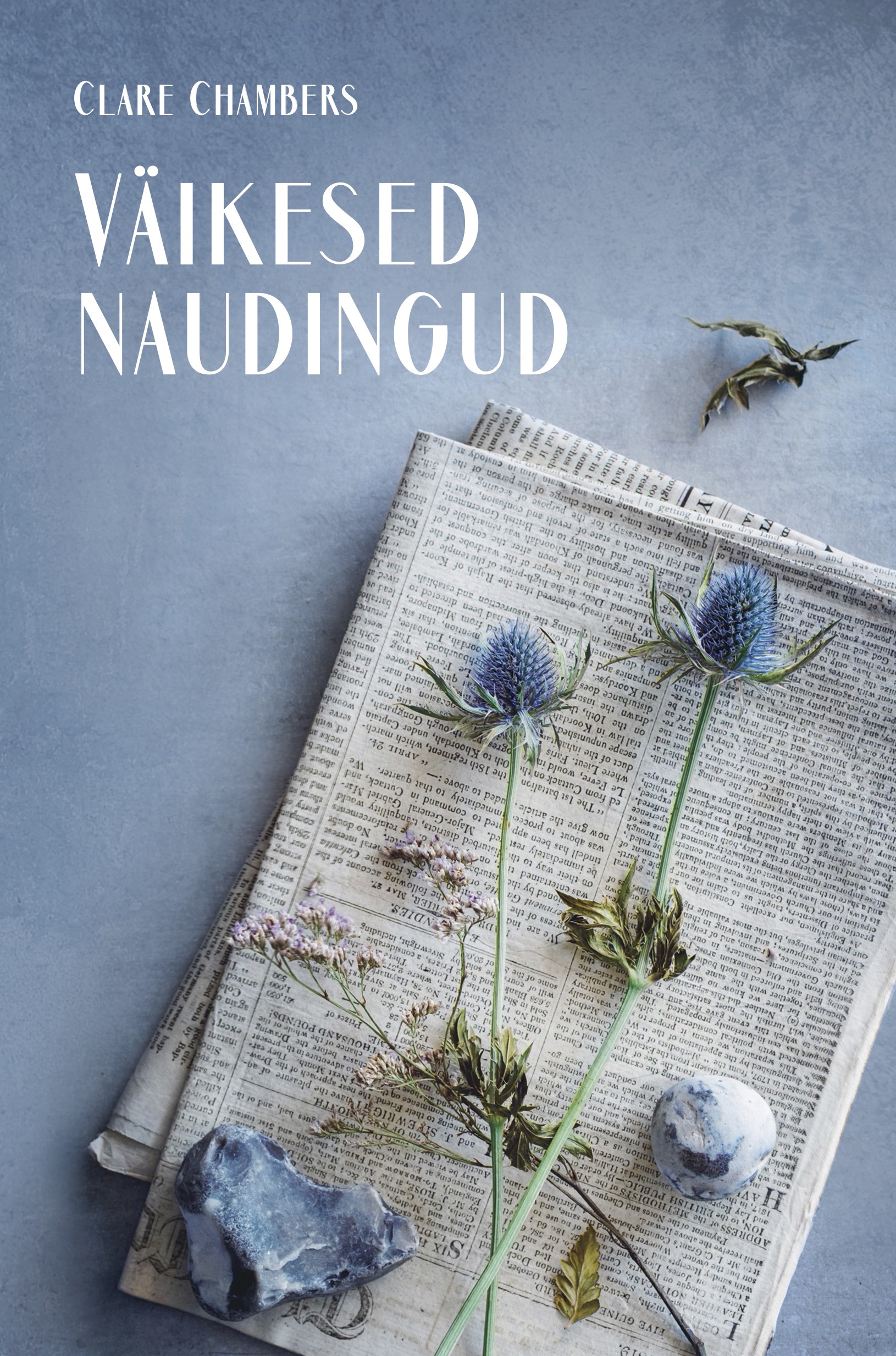 E-raamat: VÄIKESED NAUDINGUD