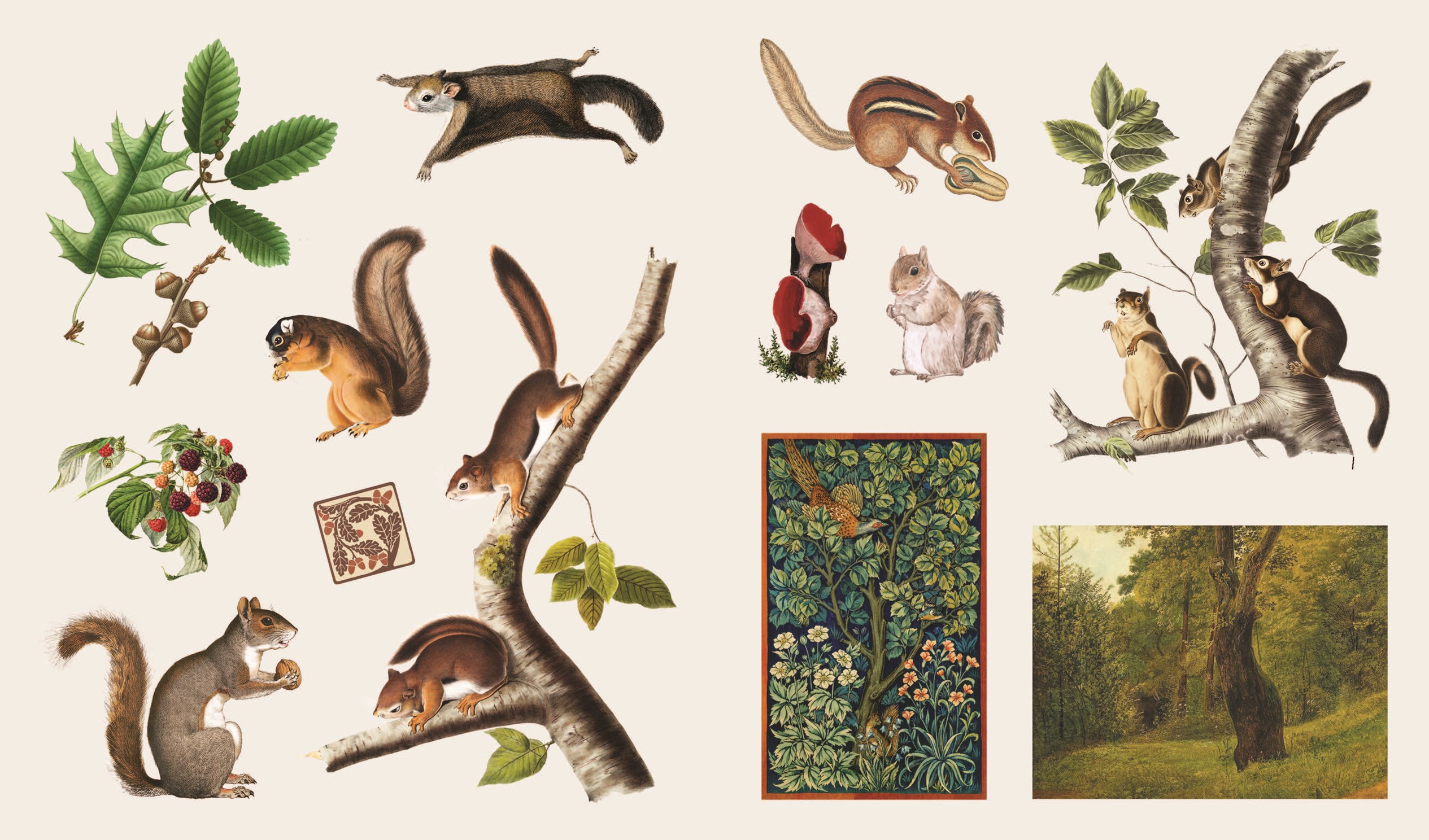 Sticker Treasury of Woodland Adventures