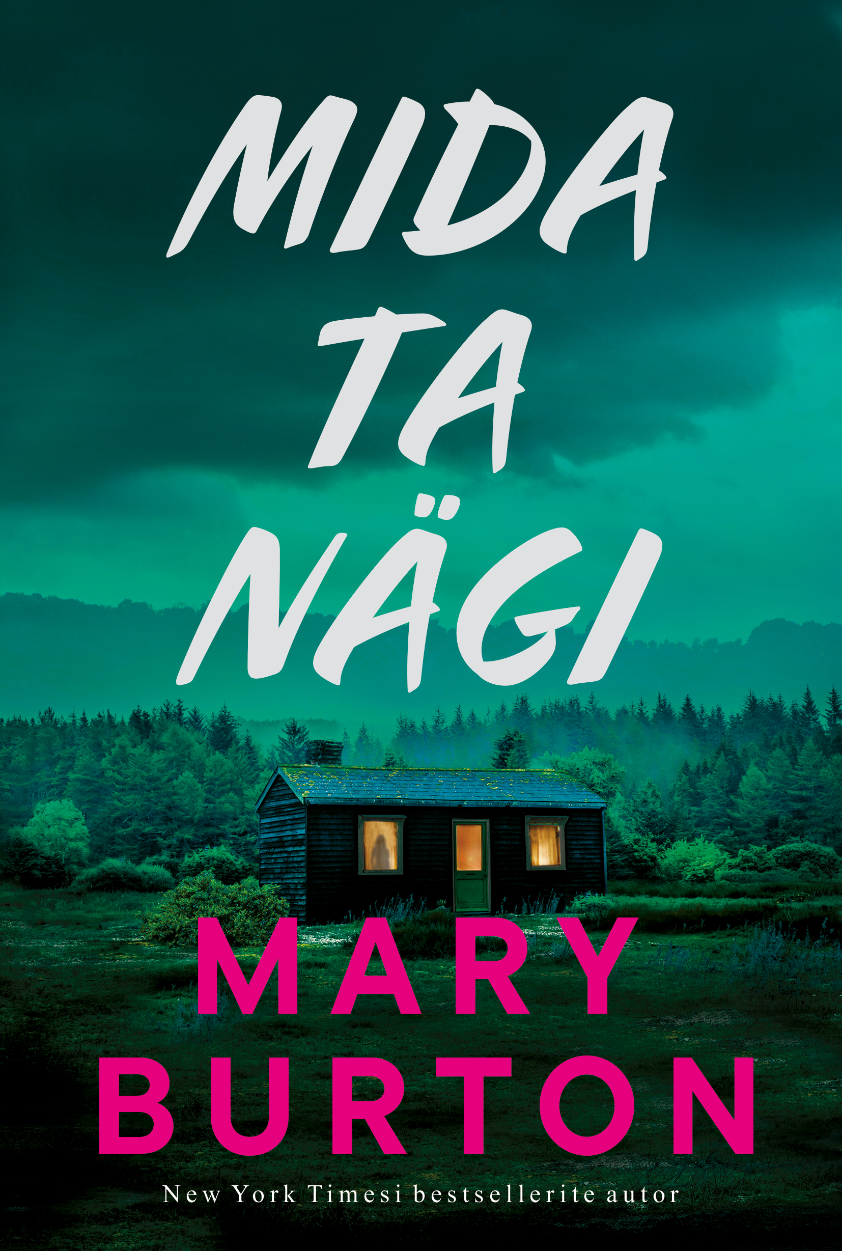 Mida ta nägi