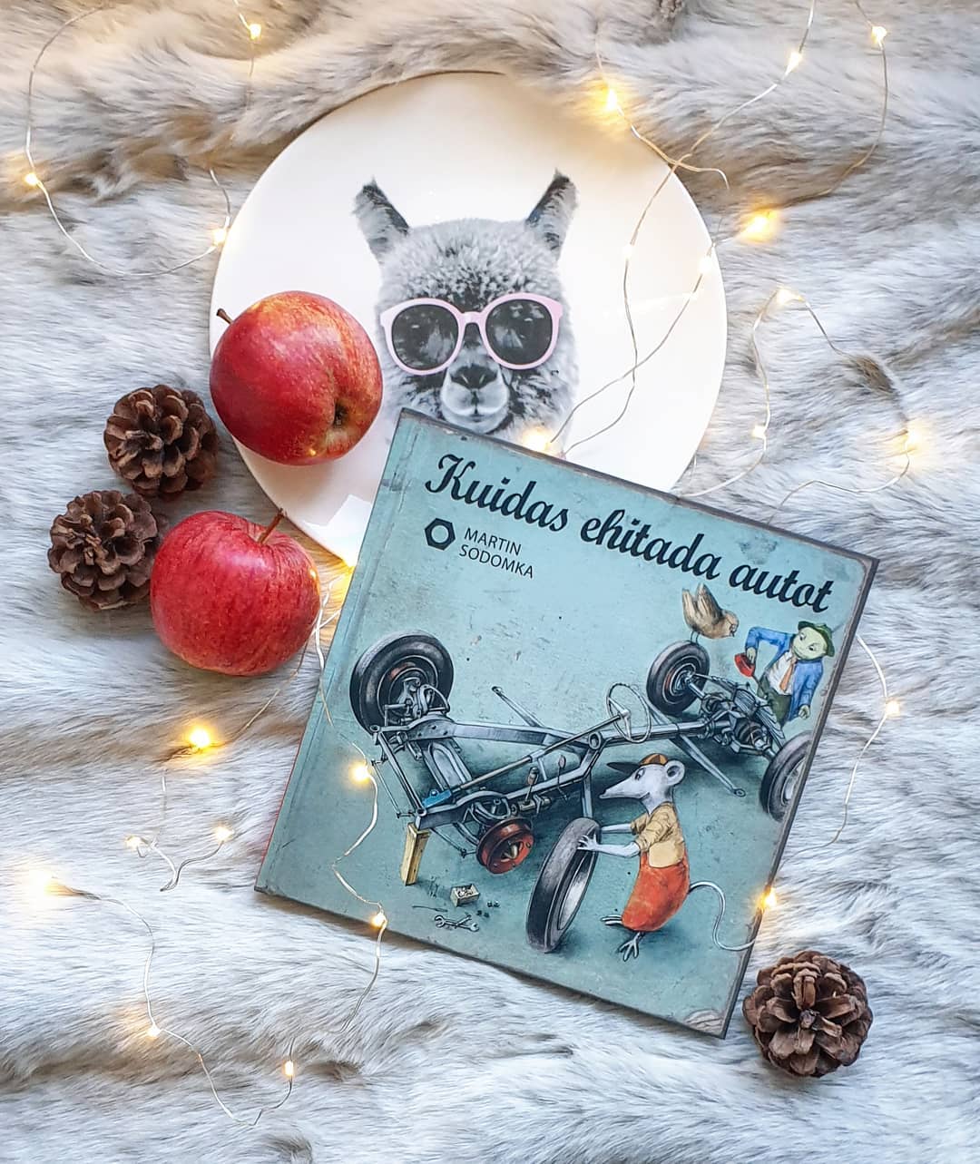 Kuidas ehitada autot - Martin Sodomka