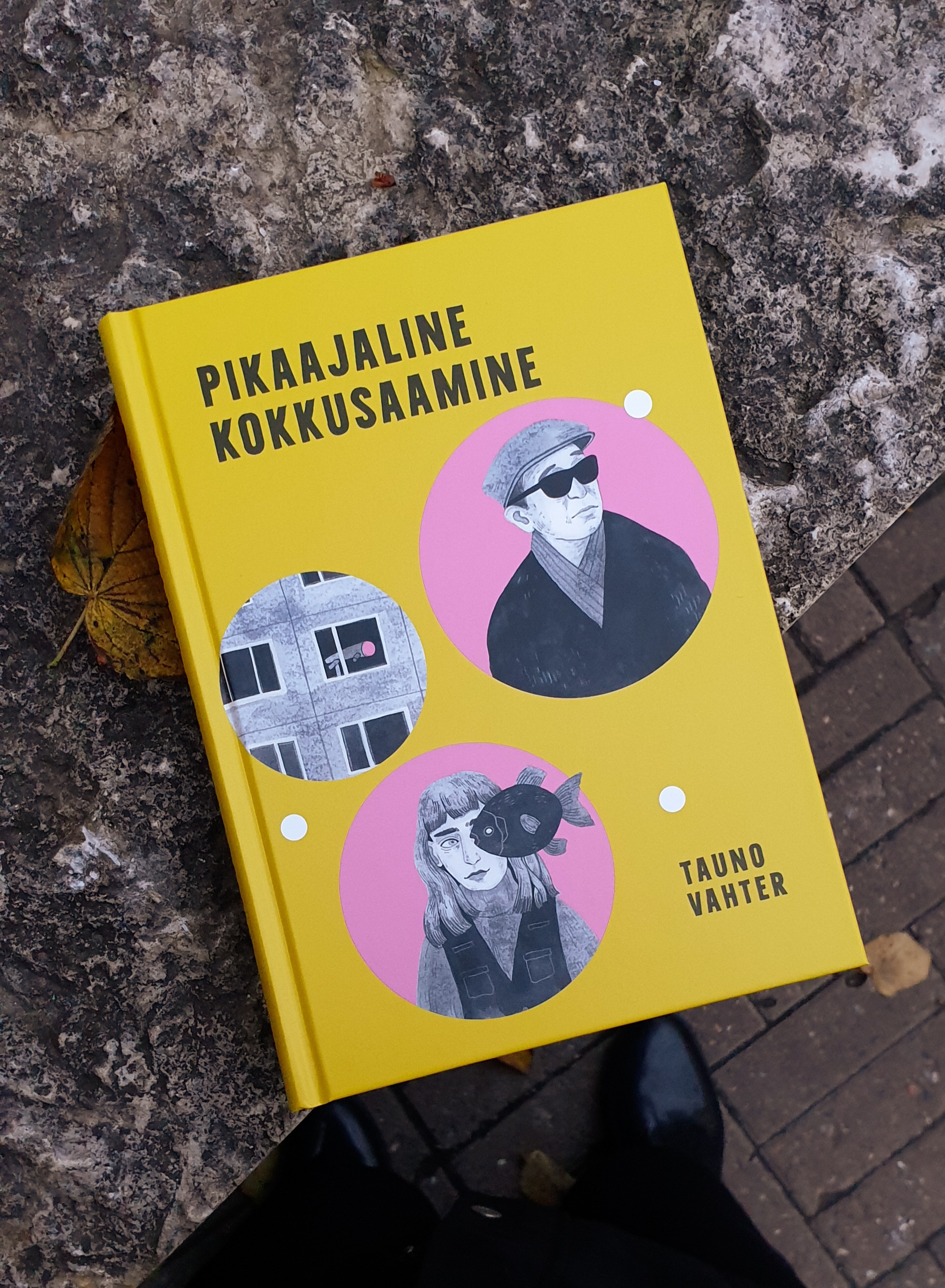 Pikaajaline kokkusaamine