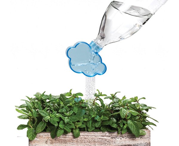 KASTMISKORK PUDELILE RAINMAKER