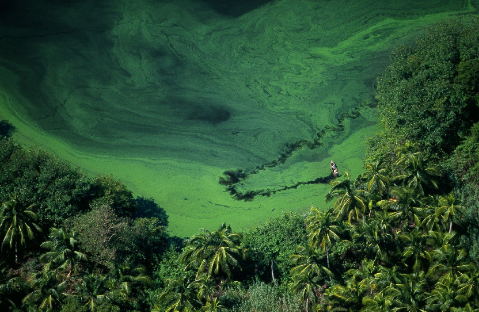 Freshwater: The View from Above and the Life Below
