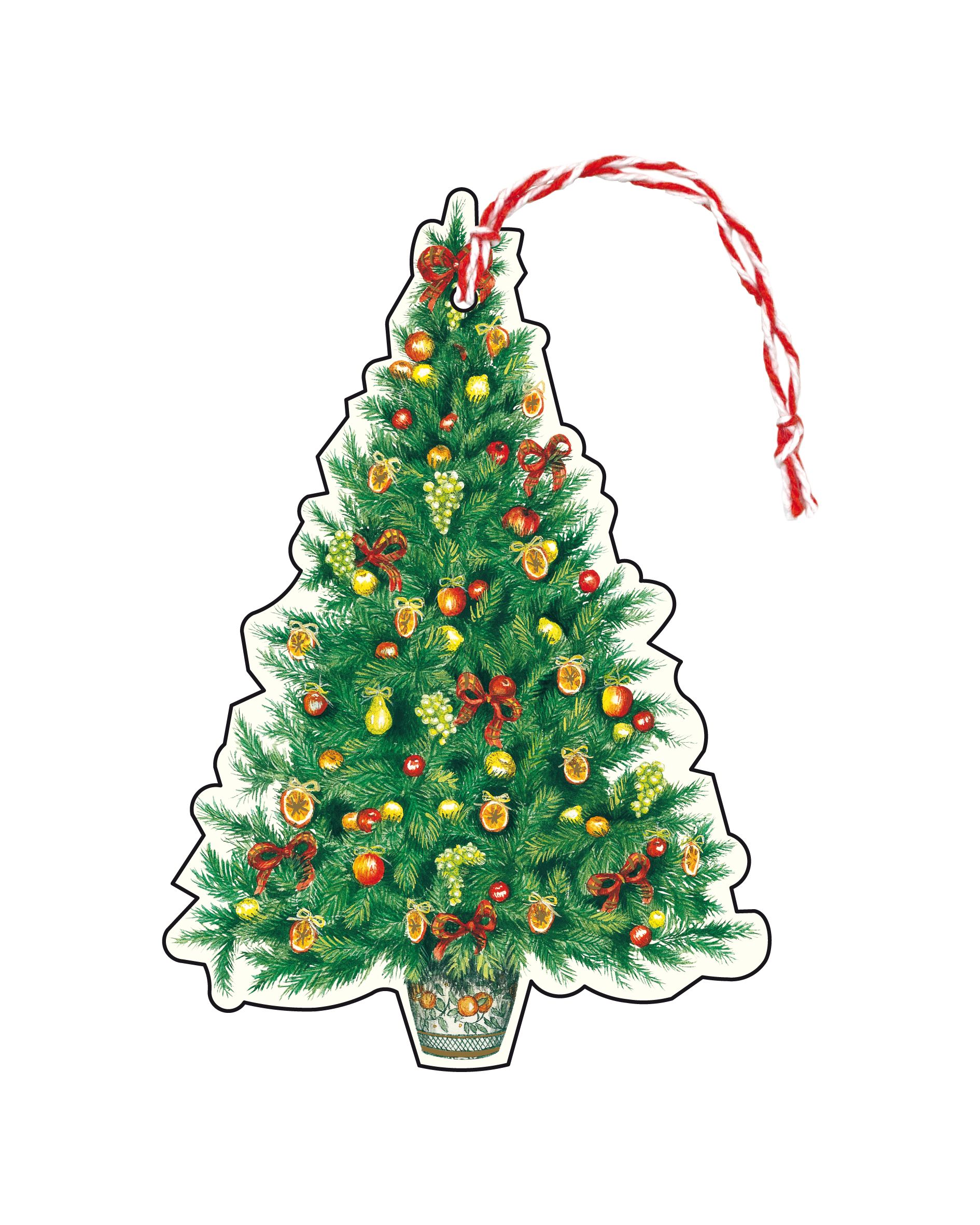 KINGITUSTE SEDELID CHRISTMAS TREE CITRUS, 6TK