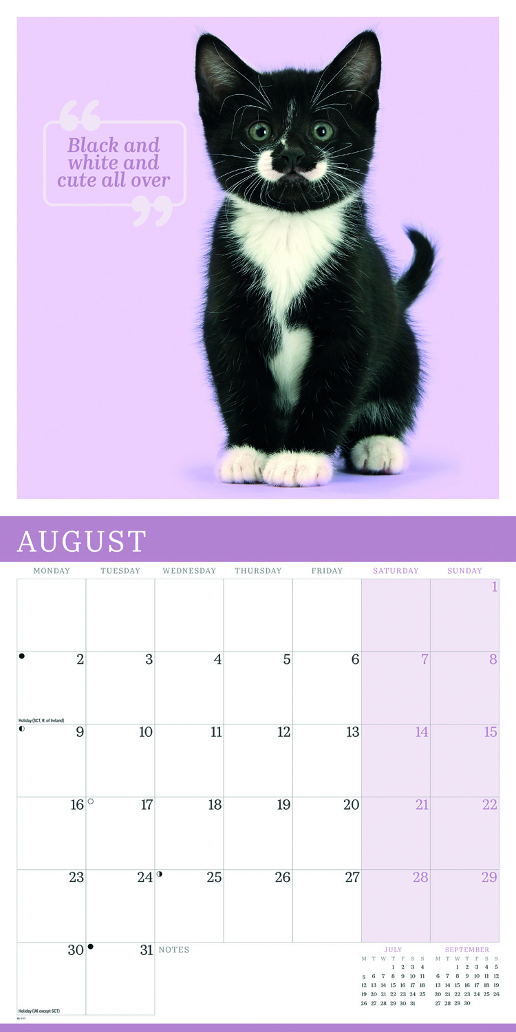 2027 seinakalender Cute Cats
