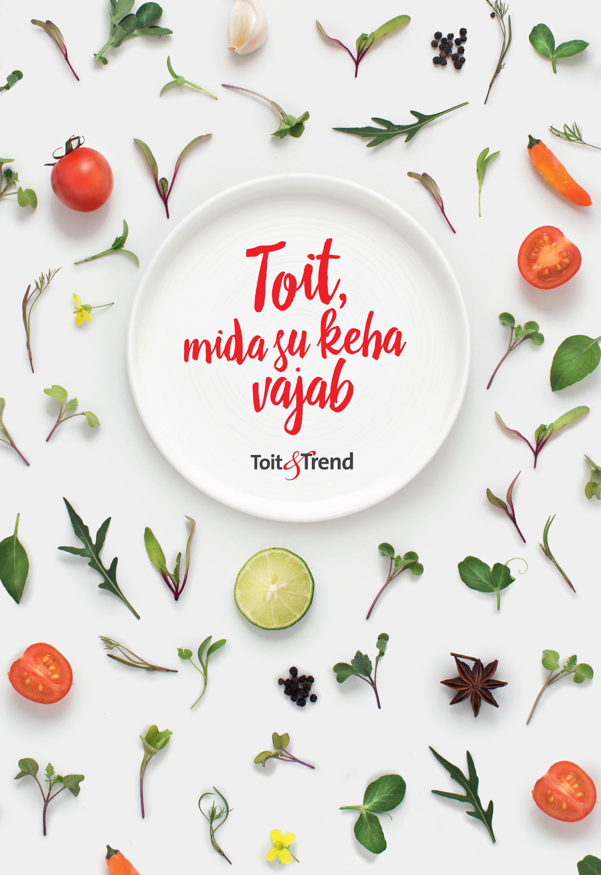 TOIT, MIDA SU KEHA VAJAB