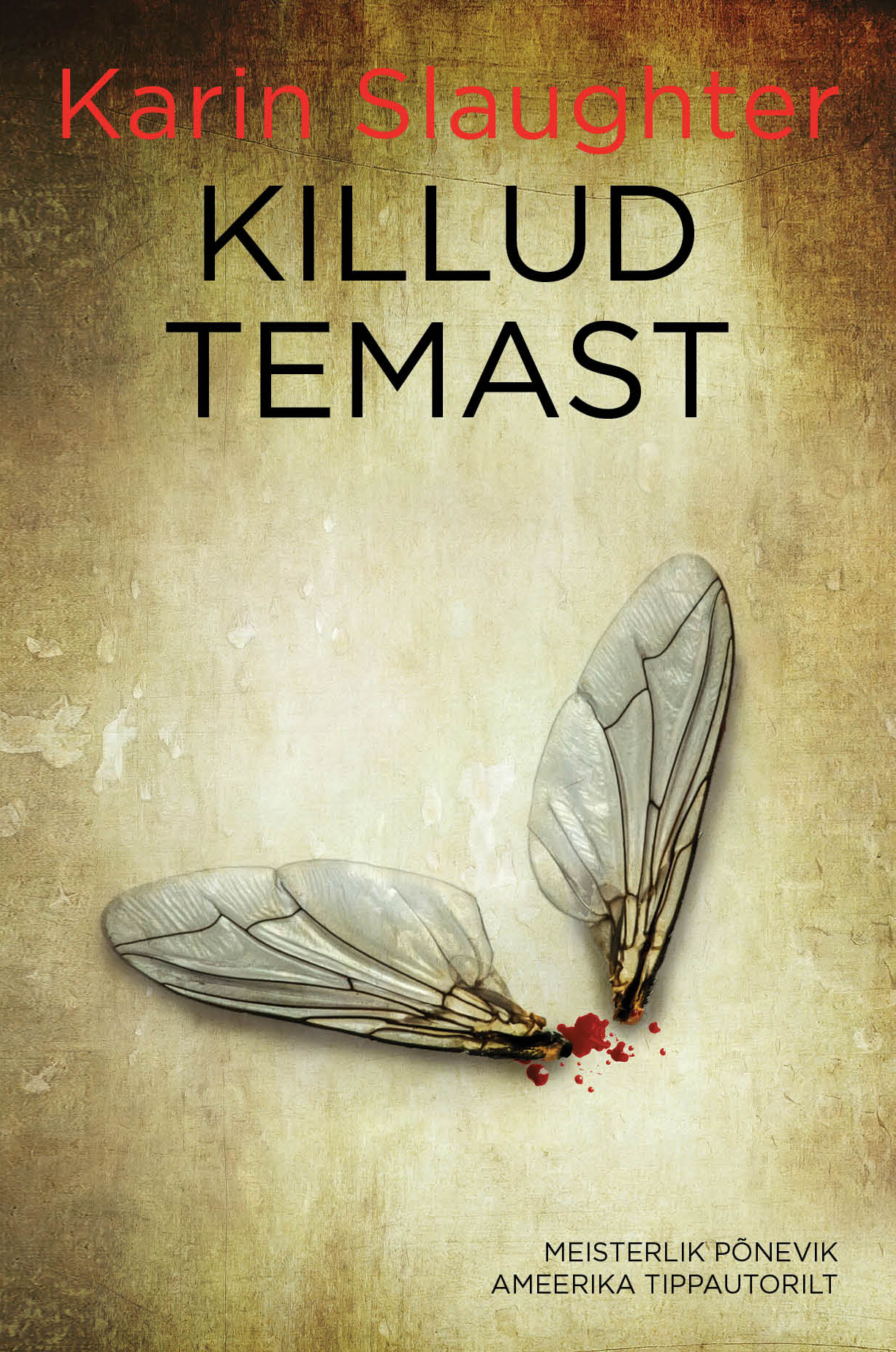 Killud temast - Karin Slaughter