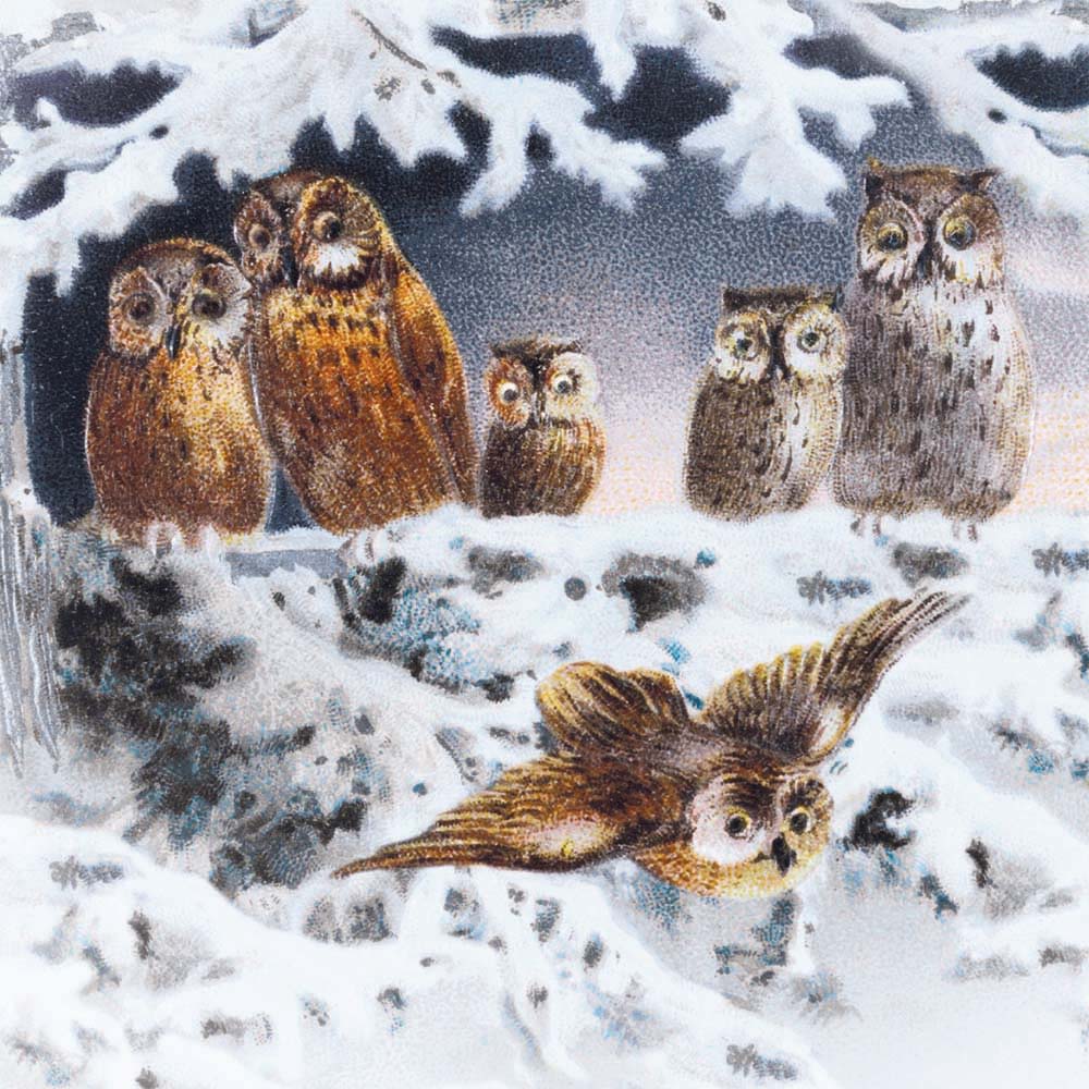 Jõulukaartide komplekt Owls Christmas, 8tk