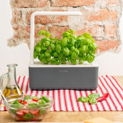 CLICK & GROW: SMART GARDEN 3, HALL, UNI