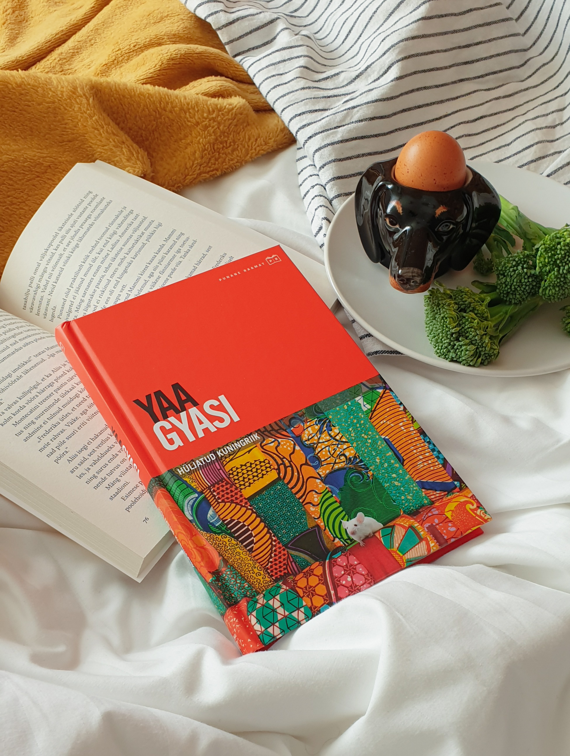 Hüljatud kuningriik - Yaa Gyasi