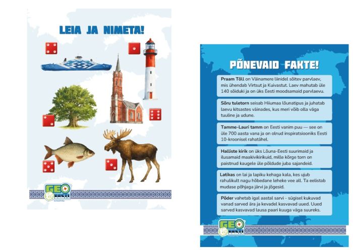 Lauamäng GeoEesti