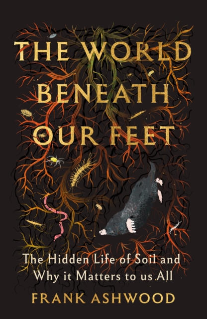 The World Beneath Our Feet