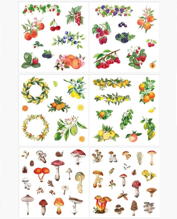 Kleepsuraamat Bunches of Botanicals, 50lk