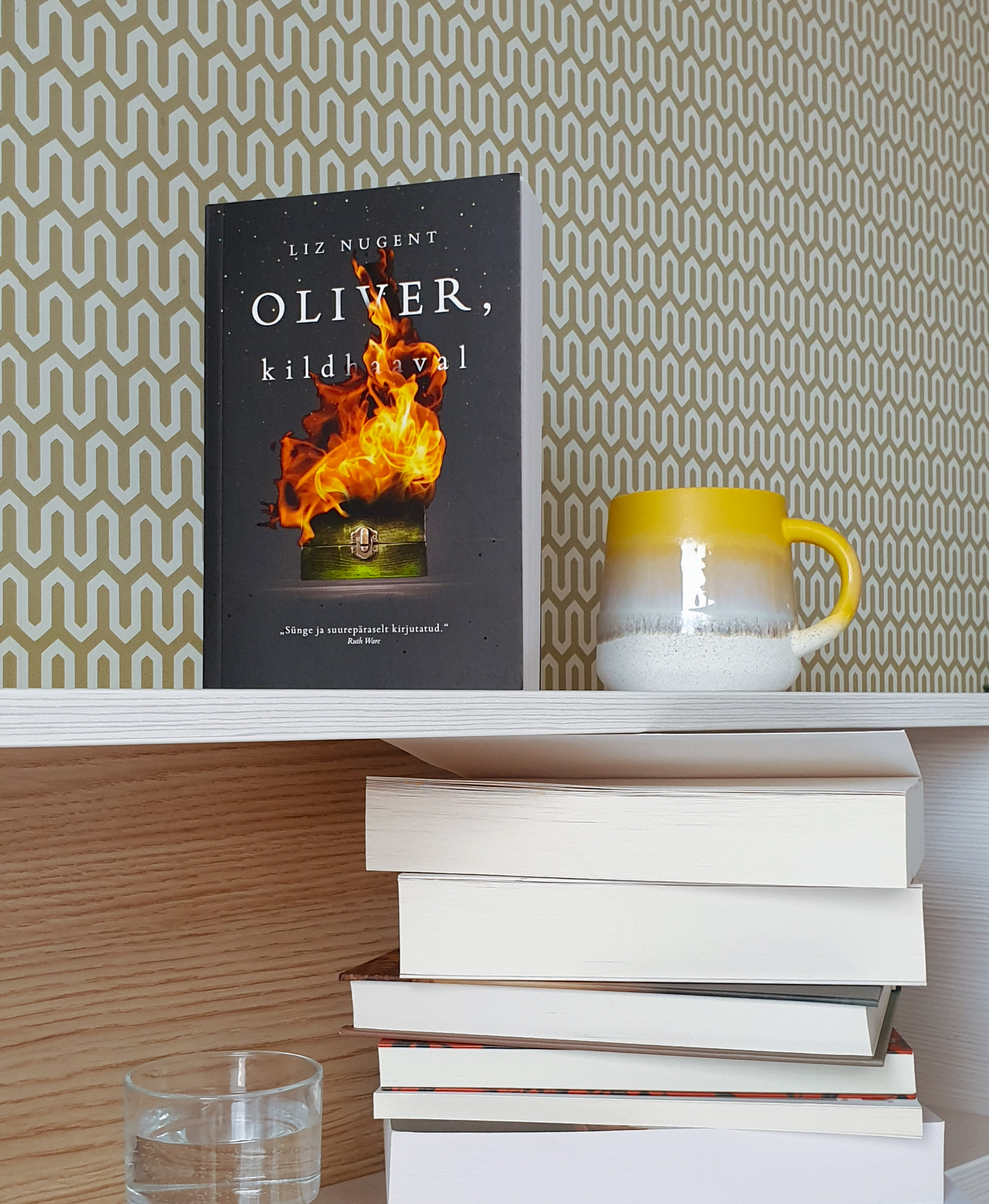 Oliver, kildhaaval - Liz Nugent