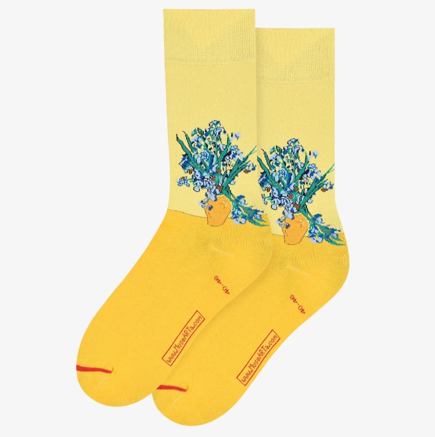 Sokid Irises, Yellow, 36-40