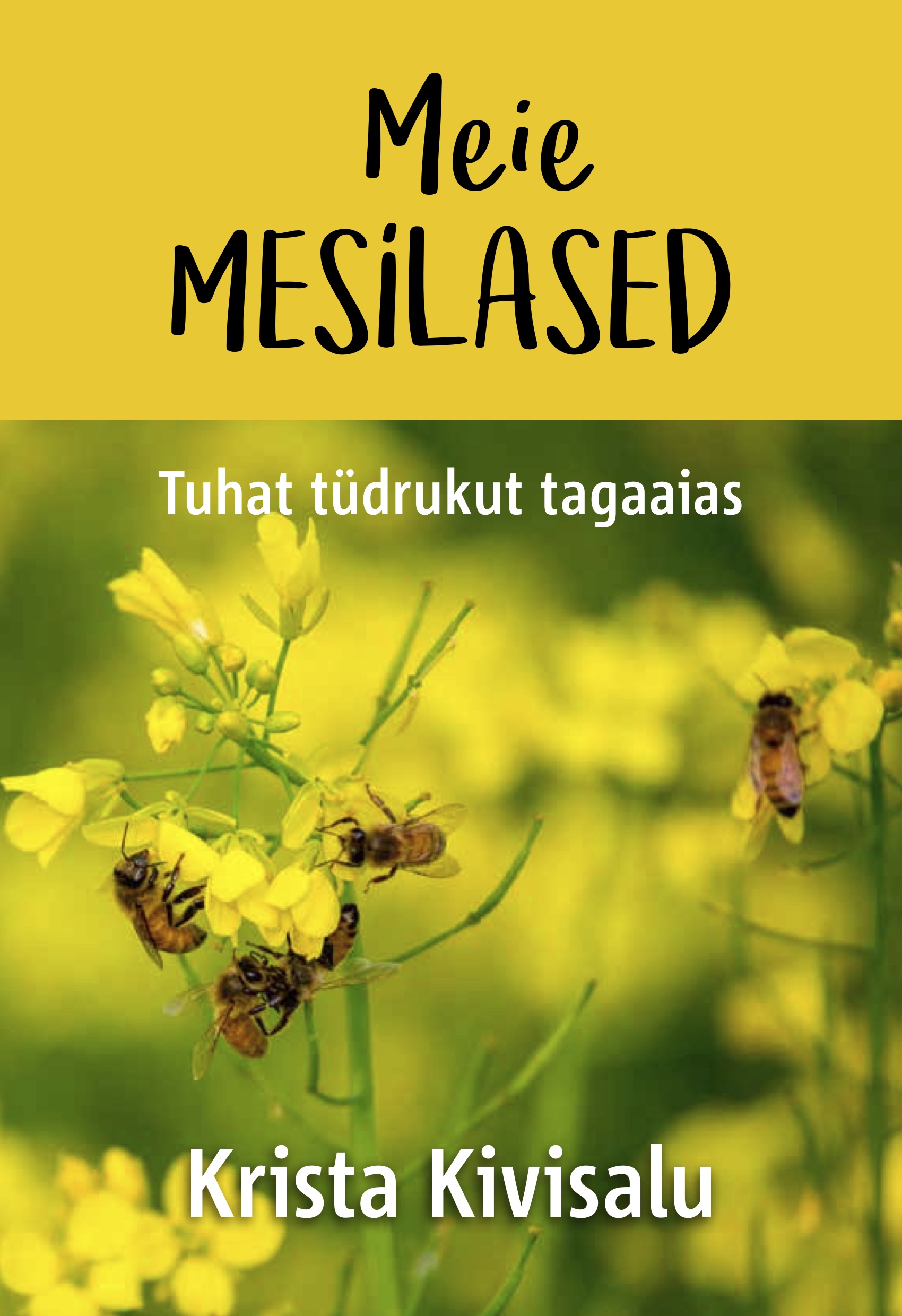 E-raamat: MEIE MESILASED. TUHAT TÜDRUKUT KODUAIAS