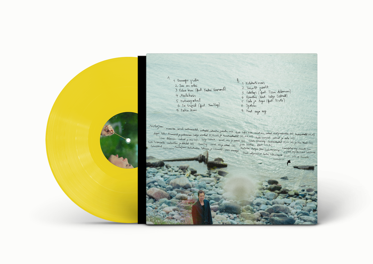 Meisterjaan - Meeleheina valvur (2025) LP