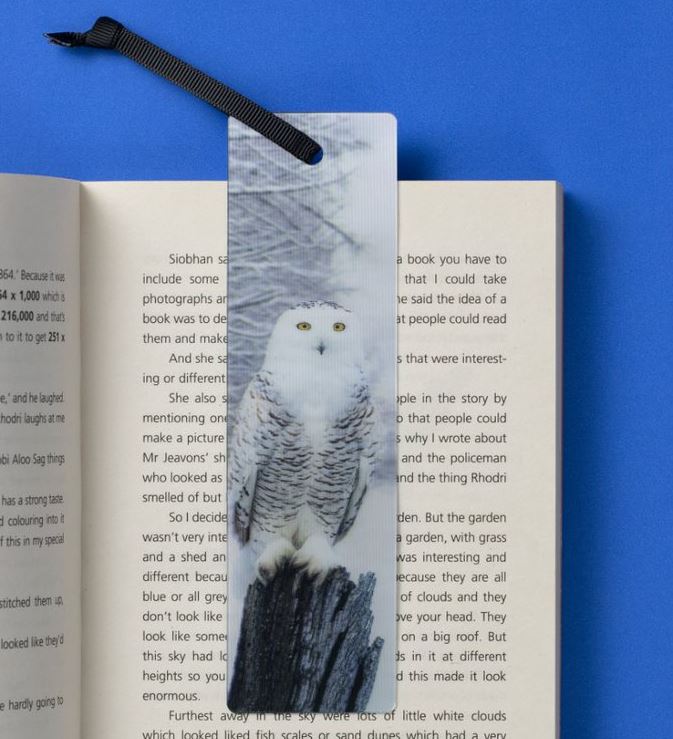 Järjehoidja NG, Snowy Owl, 3D