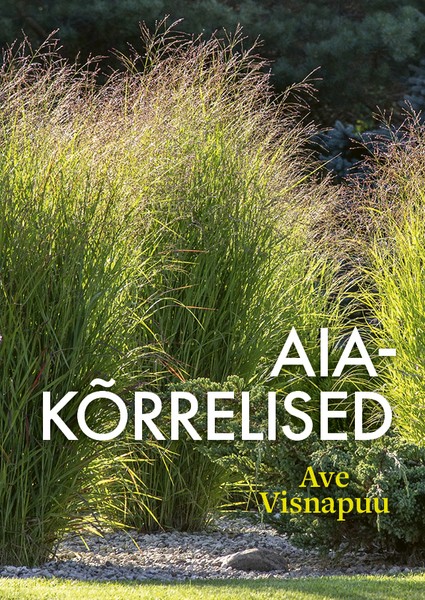 E-raamat: Aiakõrrelised