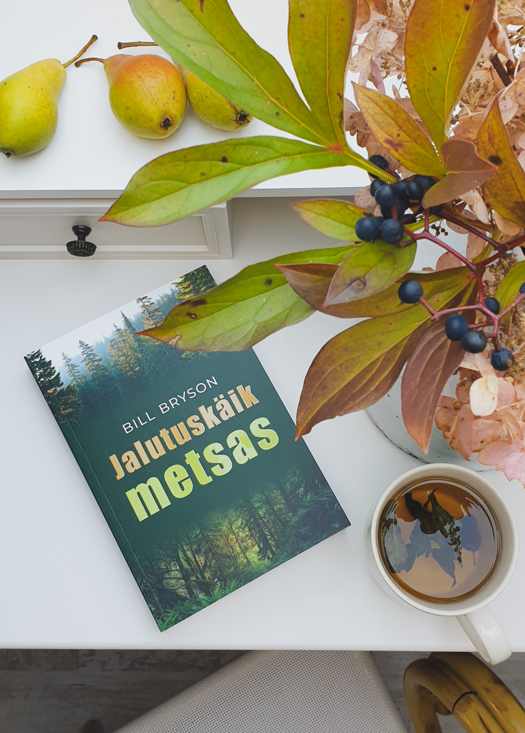 Jalutuskäik metsas - Bill Bryson