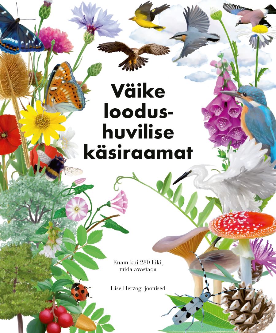 VÄIKE LOODUSHUVILISE KÄSIRAAMAT. ENAM KUI 280 LIIKI, MIDA AVASTADA