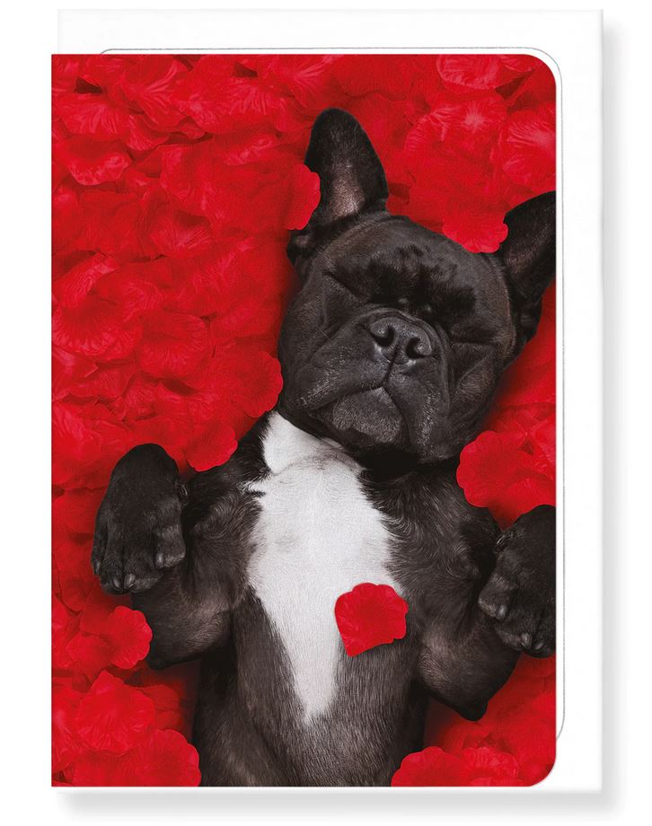 Õnnitluskaart Frenchie Dream