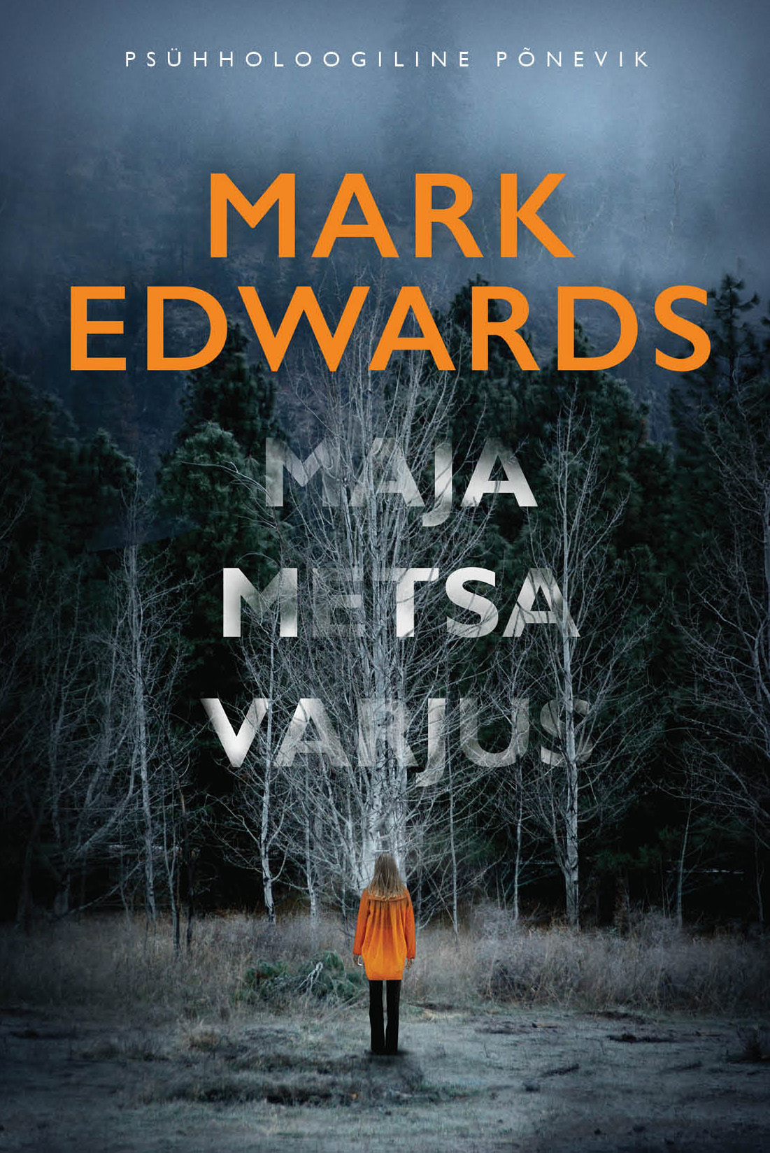Maja metsa varjus