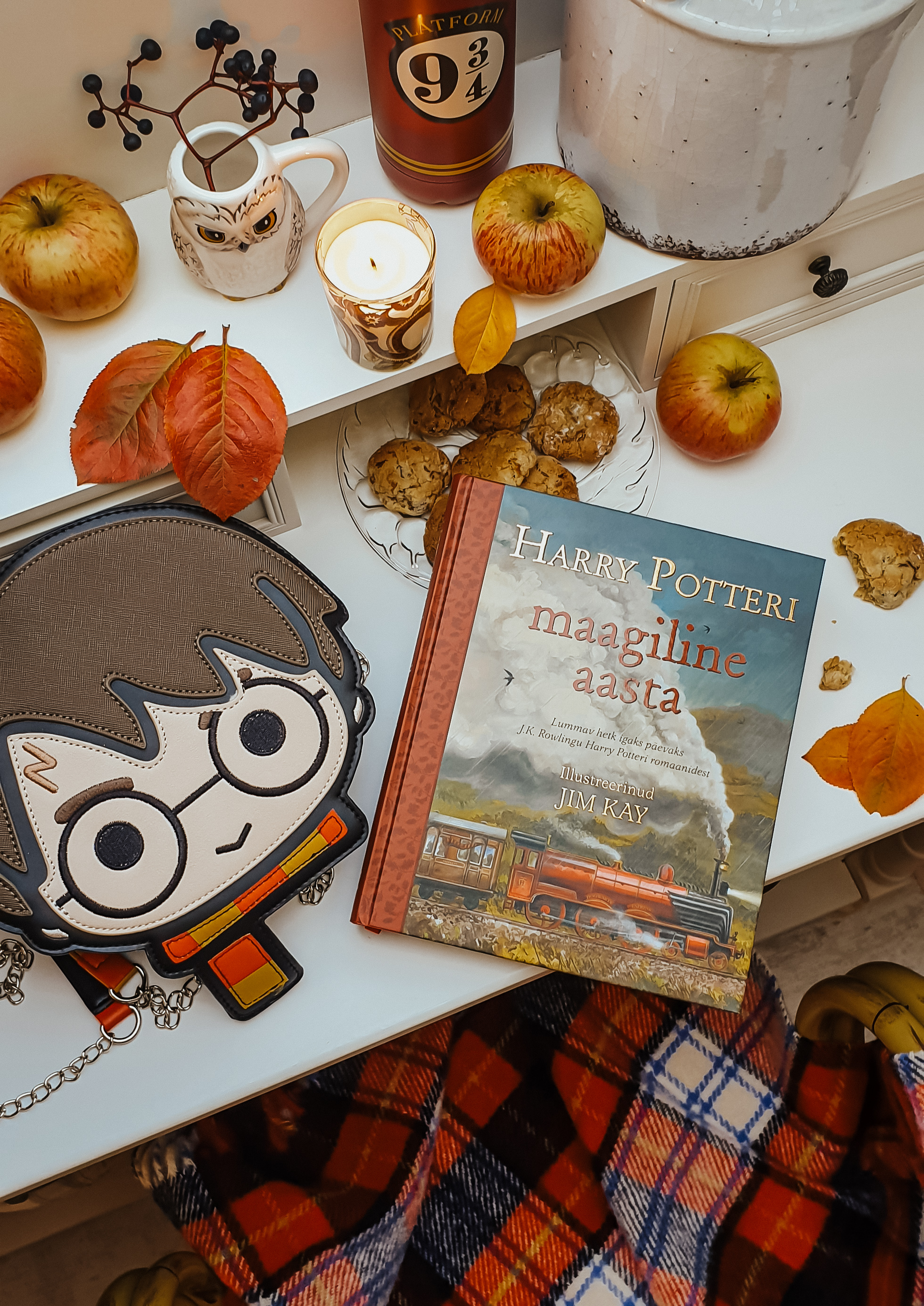 HARRY POTTERI MAAGILINE AASTA. LUMMAV HETK IGAKS PÄEVAKS J.K. ROWLINGU HARRY POTTERI ROMAANIDEST