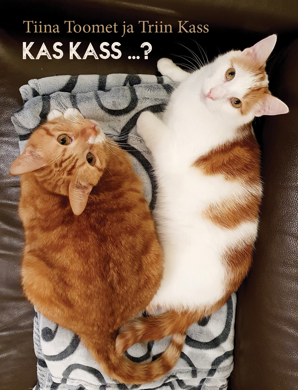 KAS KASS…?   