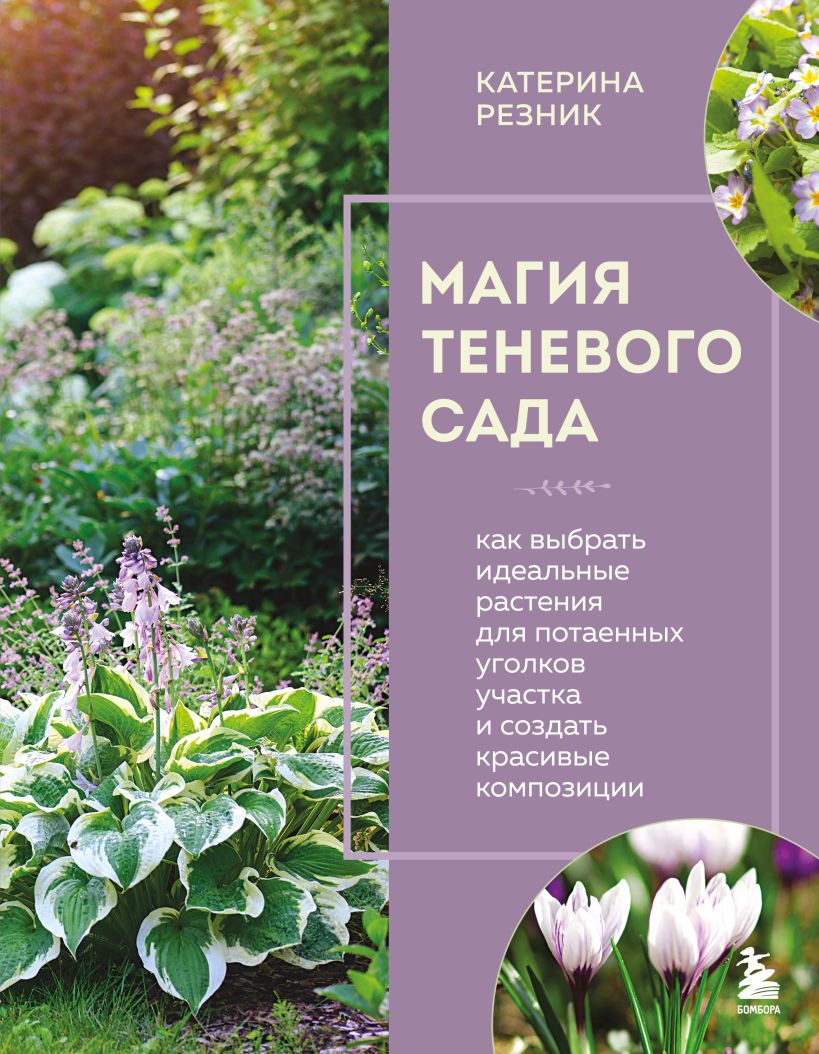 Магия теневого сада. Как выбрать идеальные растения для потаенных уголков участка и создать