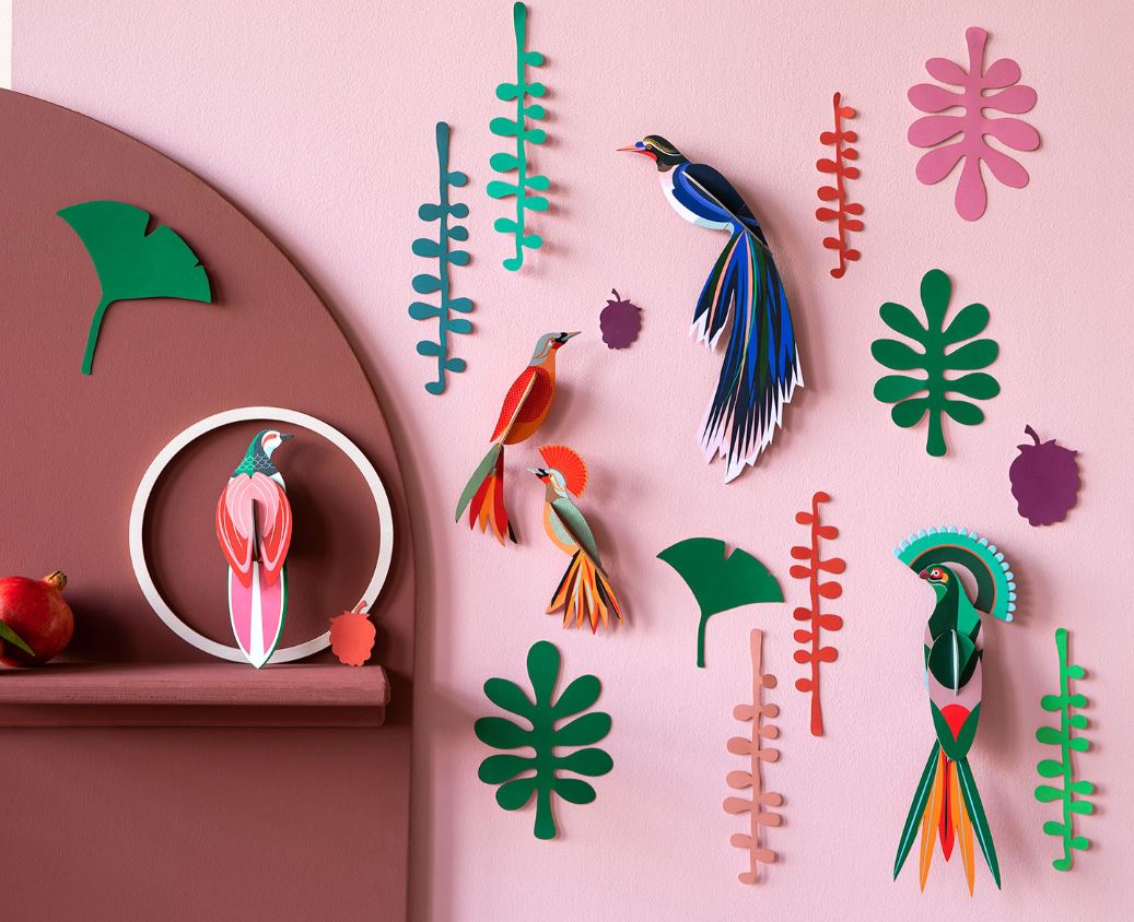 Seinakaunistused Big Wall of Curiosities, Bird Observer