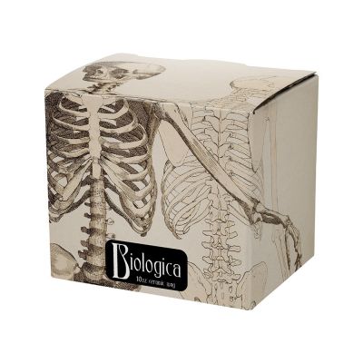 KRUUS BIOLOGICA - SKELETONS