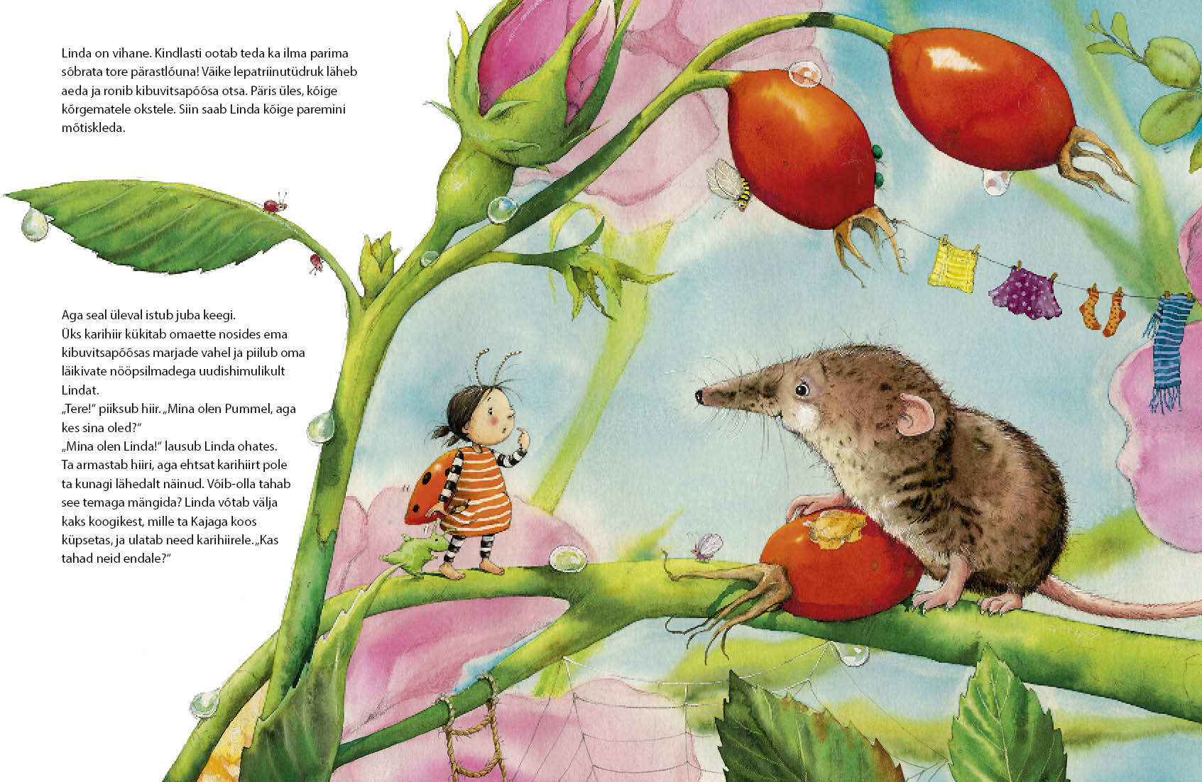 Lepatriinu-LINDA. Parimad sõbrad on imelised - Stefanie Dahle