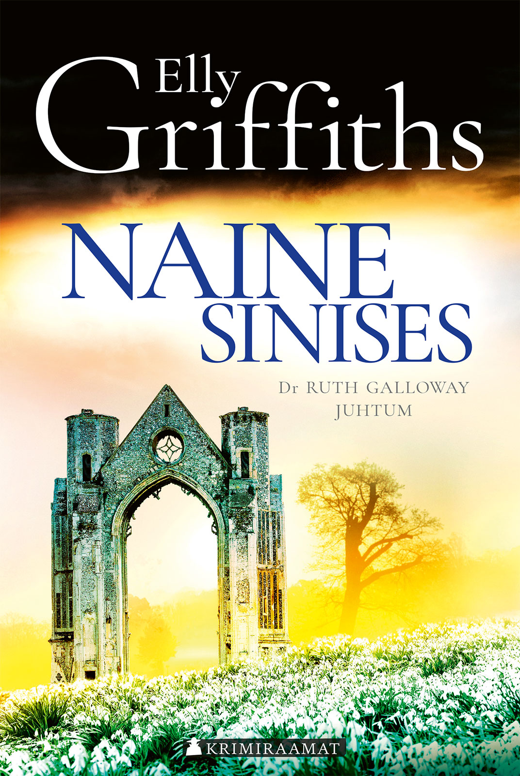E-raamat: Naine sinises