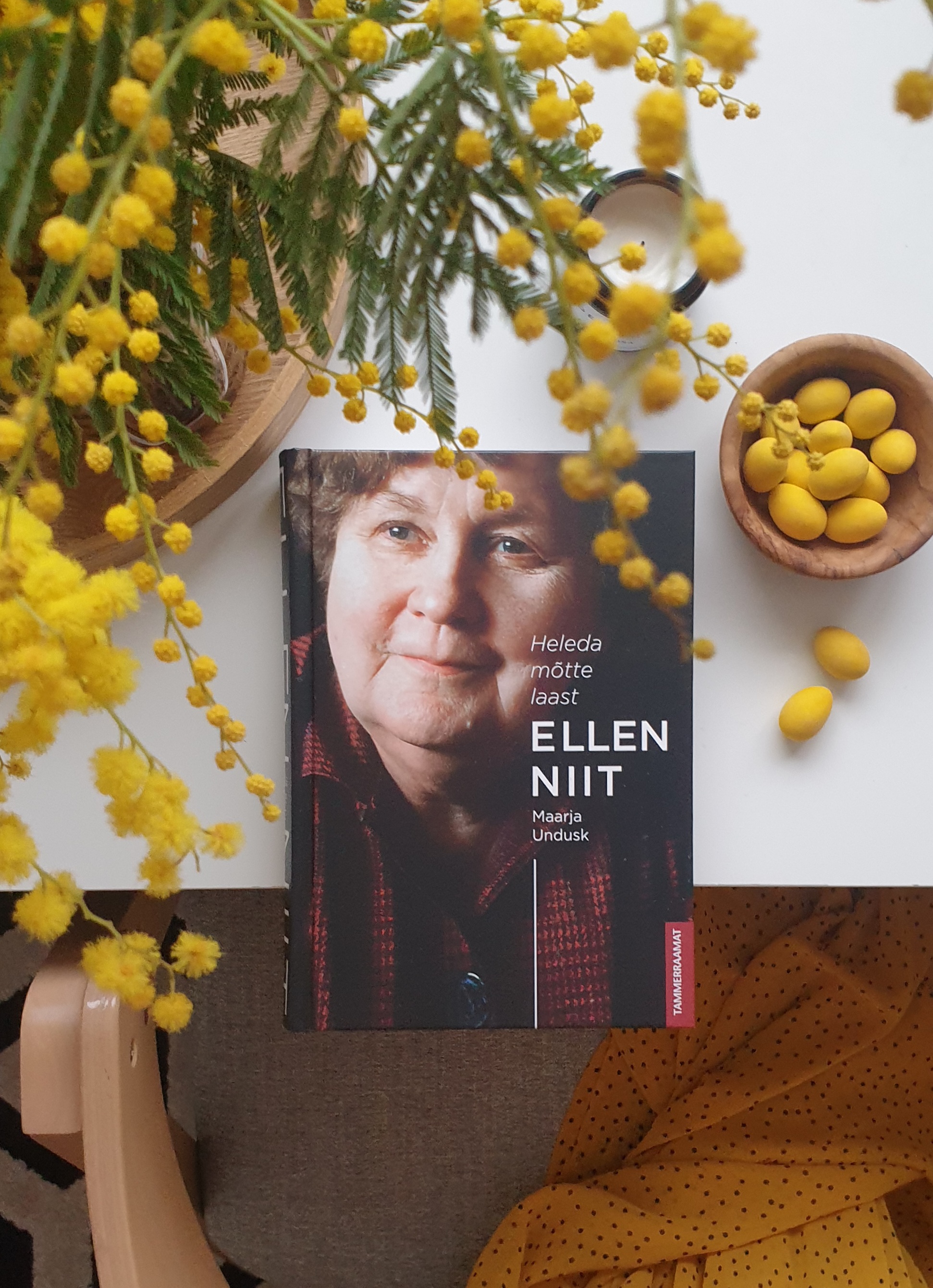 Ellen Niit. Heleda mõtte laast - Maarja Undusk