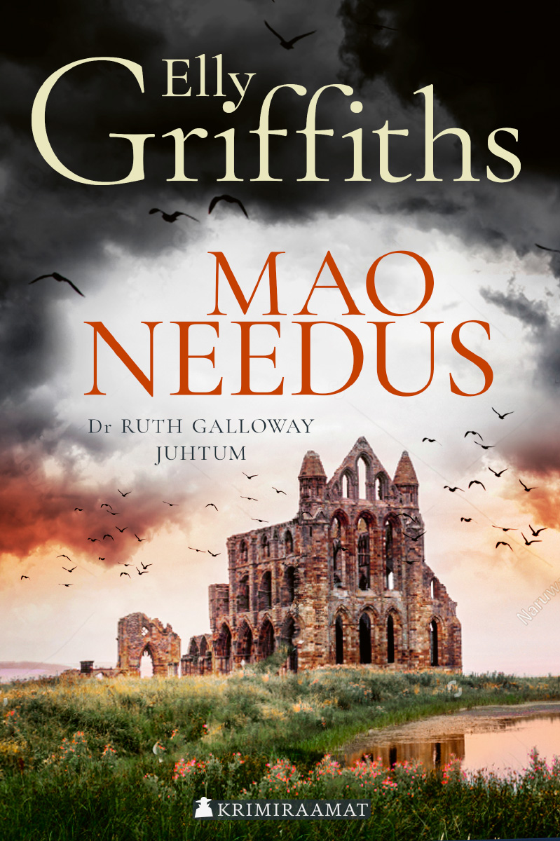 E-raamat: Mao needus