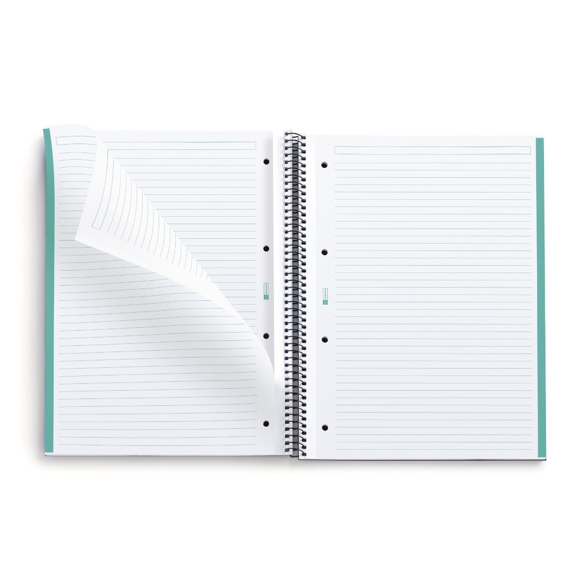 Kaustik A4 80l 5x5 joon spiraal 4-ne augustus, kartong kaanega AQUA Miquelrius