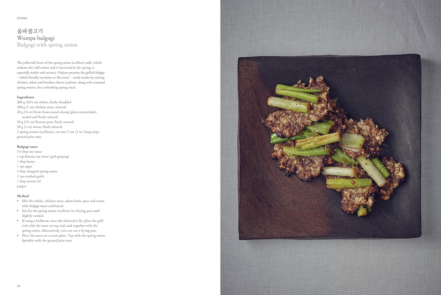 Art of Korean Cooking - Onjium