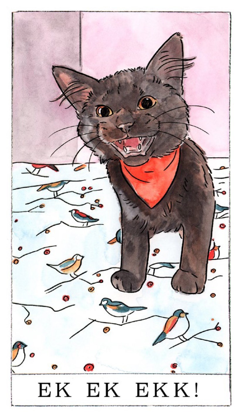 Kitten Oracle: 50 Cards & Guidebook - Megan Lynn Kott