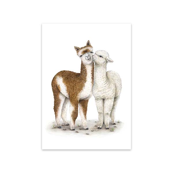 Õnnitluskaart Alpaca Amigos