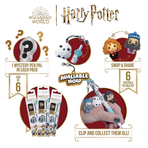 Pastapliiats ripatsiga Harry Potter