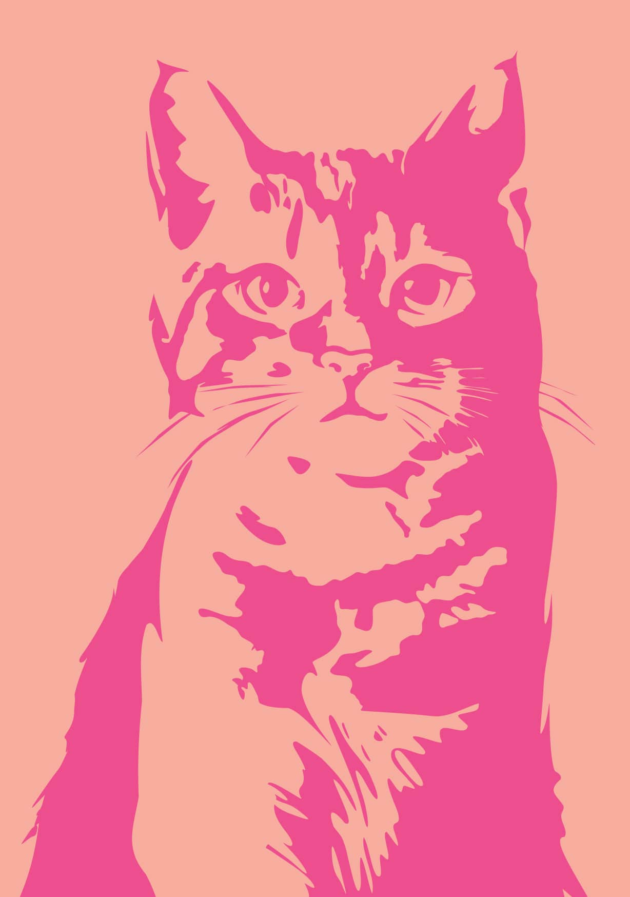 Postkaart Djune, Katze