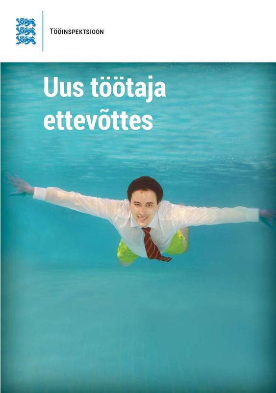 E-raamat: Uus töötaja ettevõttes