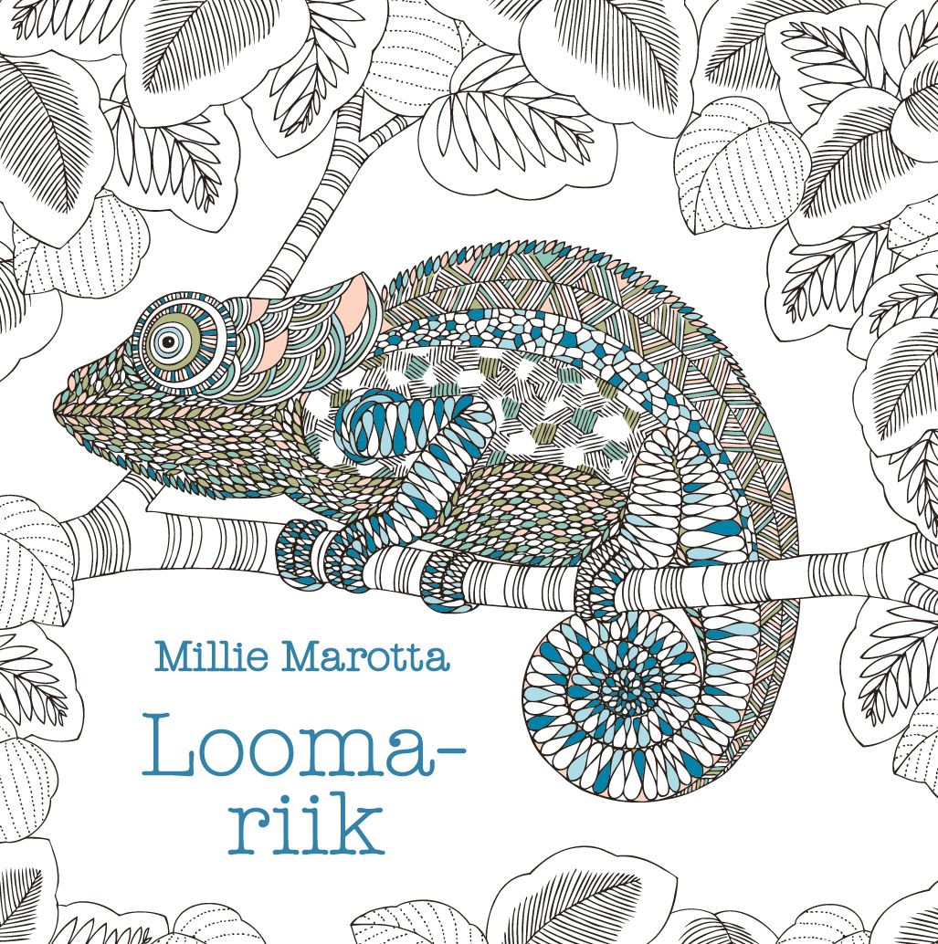 Loomariik. Värviraamat