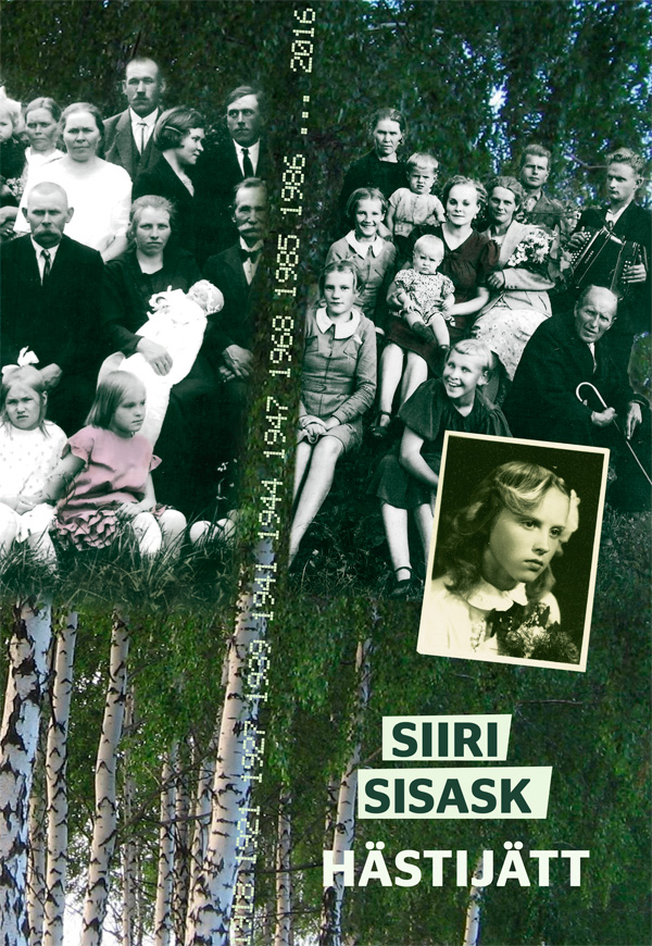 E-raamat: Hästijätt