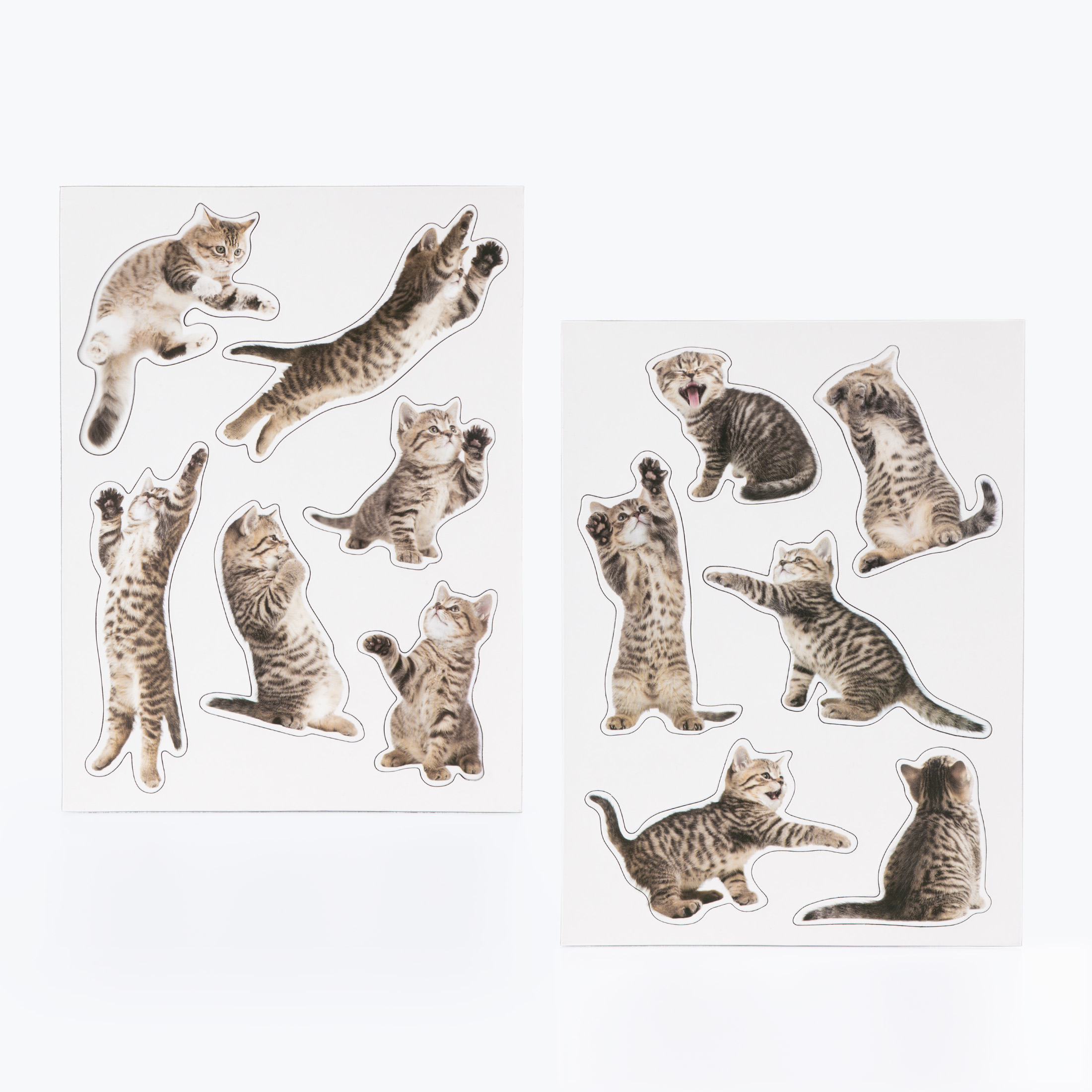MAGNETITE KOMPLEKT ACTION CAT, 12TK
